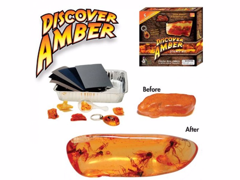 Discover Amber Science Kit - Just like in Jurassic Park, discover 40 million year old bugs trapped in a genuine piece of amber