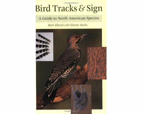 Bird Tracks & Sign Guide - A comprehensive guide to the signs and tracks left by birds in the wild. 
