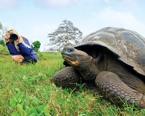 National Geographic Photography Expeditions