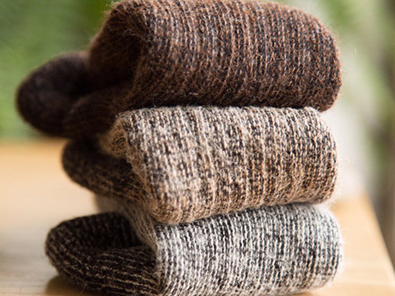 Alpaca Socks - Keep your feet warm on your walks in luxuriously soft socks from a small alpaca ranch
