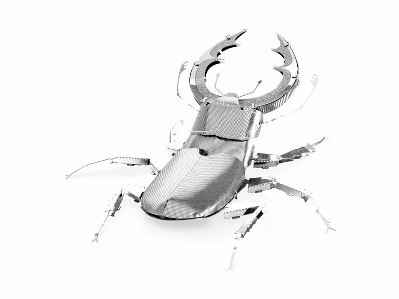 Insect Metal Modelling Kits - 3D model kits for Scorpions, Beetles, Dragon Flies, Praying Mantis and more