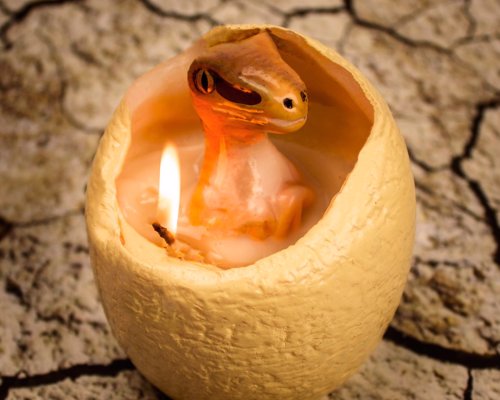 Hatching Dinosaur Candle - As the wax egg melts away it slowly reveals the world's favourite prehistoric carnivore - a darling baby velociraptor.