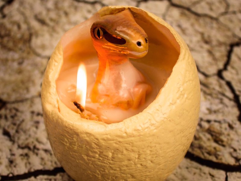 Hatching Dinosaur Candle - As the wax egg melts away it slowly reveals the world's favourite prehistoric carnivore - a darling baby velociraptor.