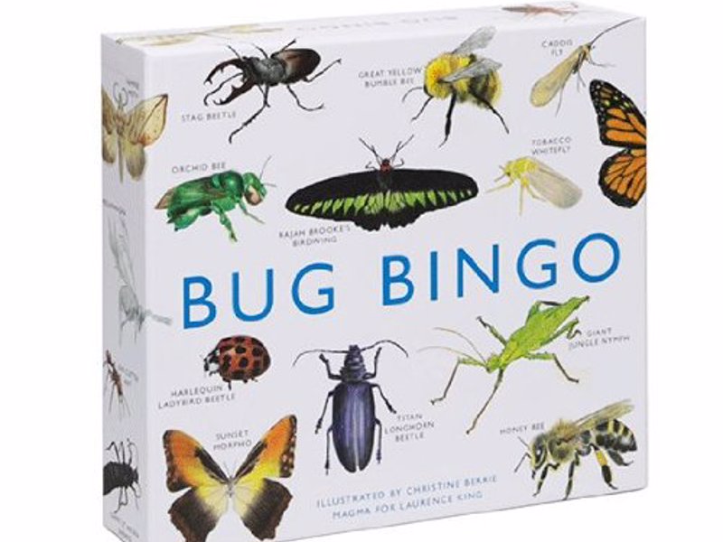 Bug Bingo - This beautifully illustrated bingo game features 64 species of bugs from around the world.