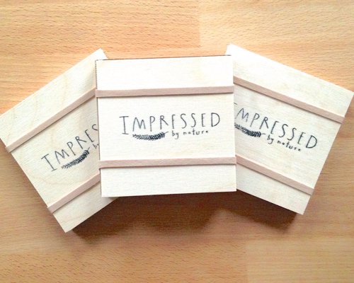 Mini Flower Press Kit - Discover the traditional process of flower pressing