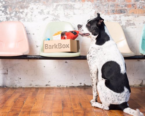 Bark Box Dog Goodie Box - Get a monthly box of treats, toys & chews for your pup