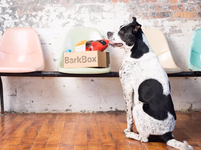 Bark Box Dog Goodie Box - Get a monthly box of treats, toys & chews for your pup