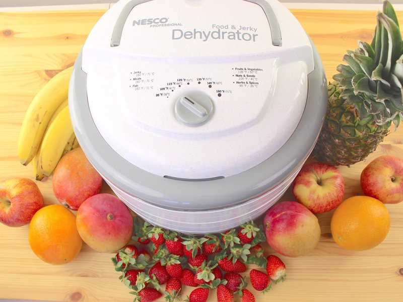 Snackmaster Food Dehydrator - Dry fruit, vegetables, jerky in hours for delicious, nutritious snacks