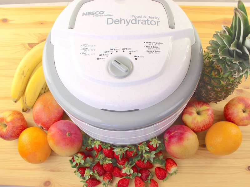 Snackmaster Food Dehydrator - Dry fruit, vegetables, jerky in hours for delicious, nutritious snacks 