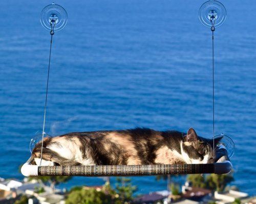 Kitty Cot Cat Perch - This cat perch mounts to any window, giving your kitty a place to lounge in the sun while you wait on them