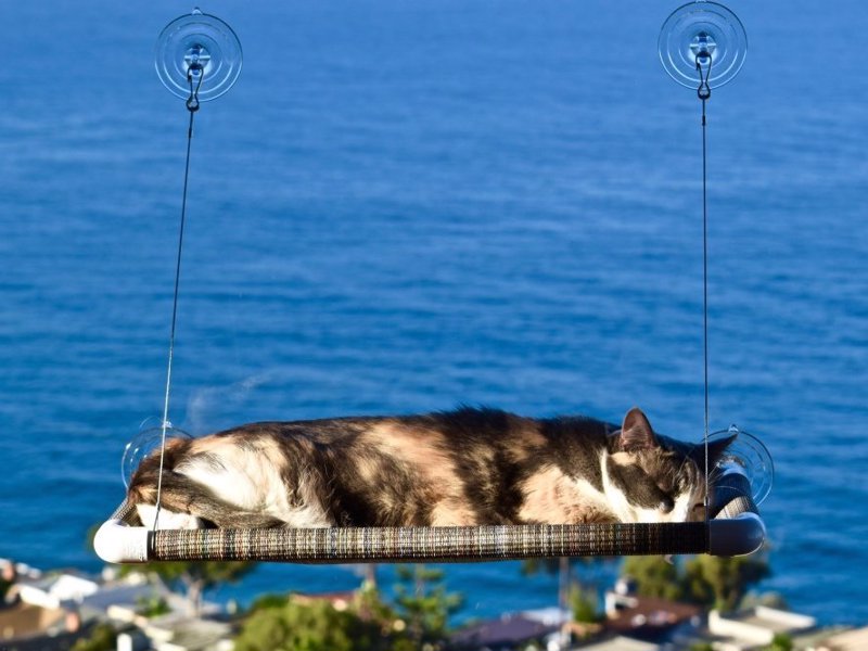 Kitty Cot Cat Perch - This cat perch mounts to any window, giving your kitty a place to lounge in the sun while you wait on them