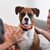 Nuzzle – GPS Tracking Collar for Cats and Dogs