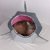 Cat Shark Bed