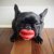 Dog Lips Rubber Toy