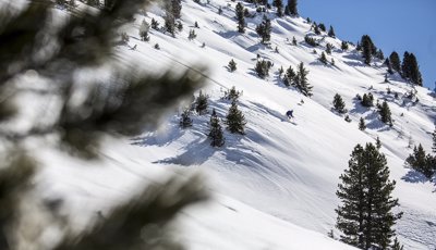 Snowsports