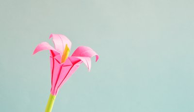 Origami