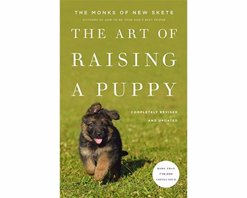 The Art of Raising a Puppy