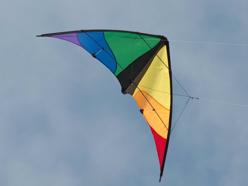 Beginner Level Stunt Kite - Release your inner child and learn to fly a stunt kite