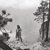 Yosemite in the Fifties: The Iron Age