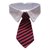 Cat or Dog Business Tie