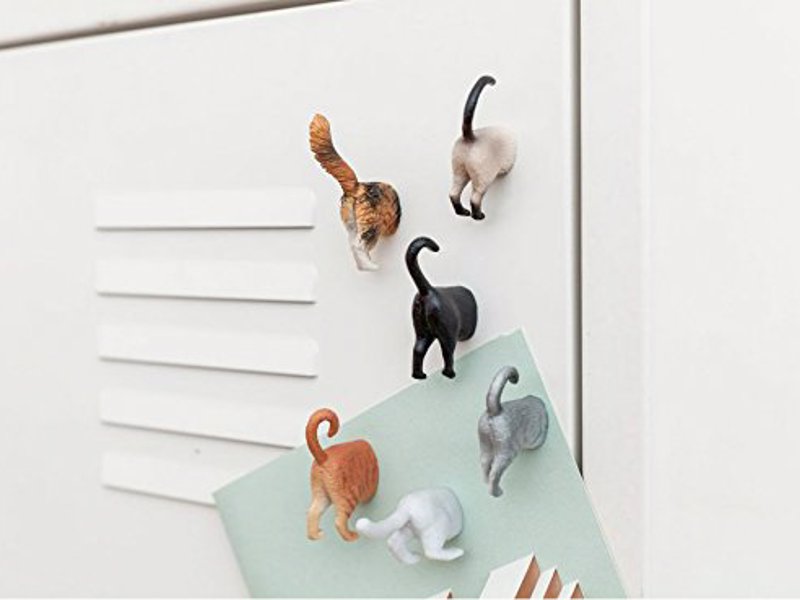 Cat Butt Magnets - A cheeky fridge magnet set for cat fanatics