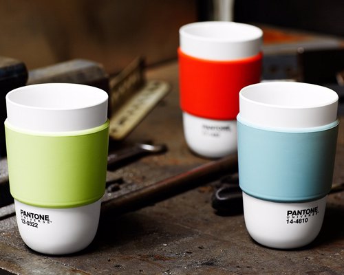 Pantone Color Cup with Silicone Band