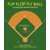 Flip Flop Fly Ball: An Infographic Baseball Adventure