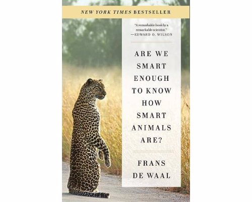 Are We Smart Enough to Know How Smart Animals Are? - Fascinating book about animal intelligence that will make you question just how unique humans are