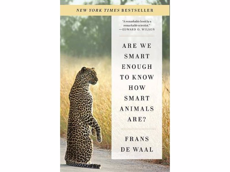 Are We Smart Enough to Know How Smart Animals Are? - Fascinating book about animal intelligence that will make you question just how unique humans are