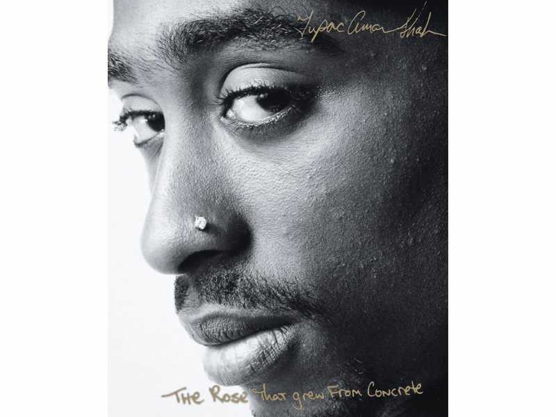 The Rose That Grew From Concrete - Tupac Shakur - A collection of Tupac Shakur's deeply personal poetry is a mirror into the legendary artist's enigmatic world and its many contradictions.
