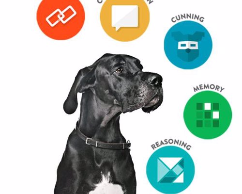 Find the Genius in Your Dog with Dognition