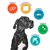 Find the Genius in Your Dog with Dognition