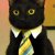 Cat or Dog Business Tie