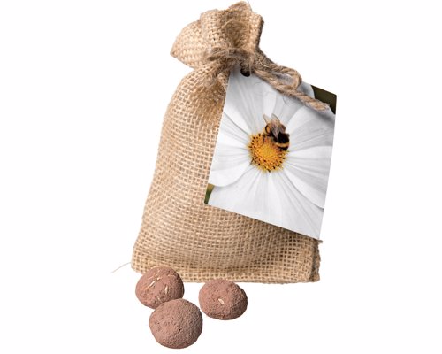 Bee & Pollinator Seed Balls - Grow a bee and pollinator-friendly garden - If you can throw, you can grow!