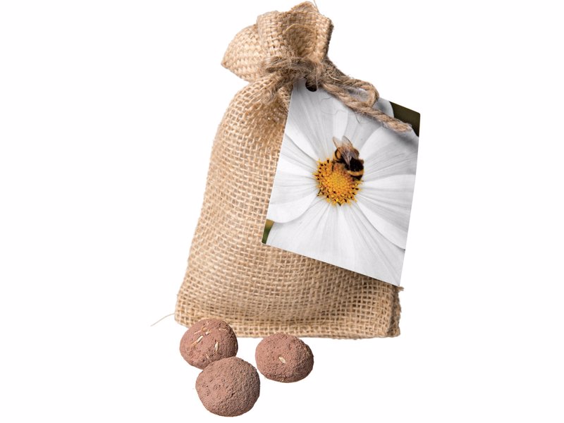 Bee & Pollinator Seed Balls - Grow a bee and pollinator-friendly garden - If you can throw, you can grow!