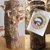 Mushroom Growing Kits