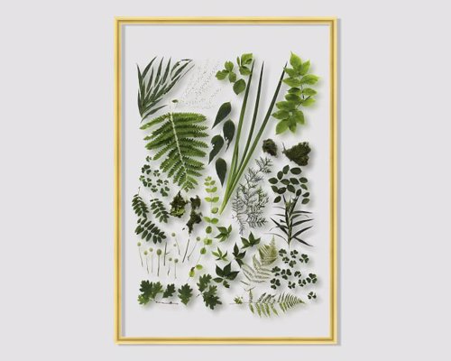 Spring Botanicals Acrylic Wall Art