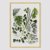 Spring Botanicals Acrylic Wall Art