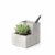 Concrete Planter And Pen Holder