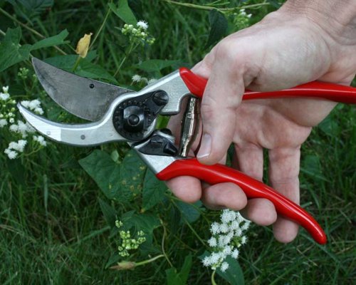 Felco Hand Pruner - The global standard for hand pruners