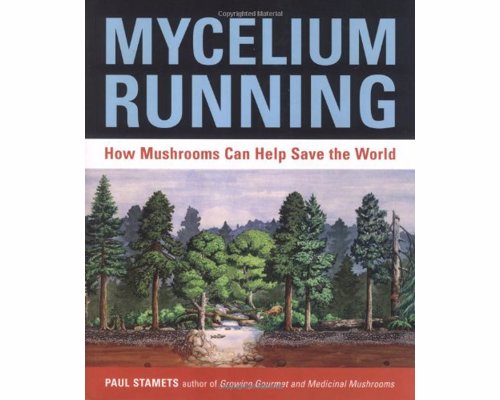 Mycelium Running: How Mushrooms Can Help Save the World - Groundbreaking book about the mycological rescue of the planet
