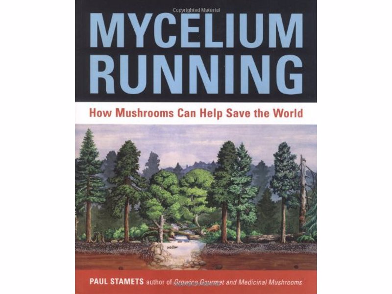Mycelium Running: How Mushrooms Can Help Save the World - Groundbreaking book about the mycological rescue of the planet