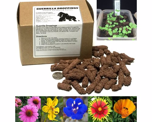 Guerrilla Droppings - Stealthy Pollinator-Friendly Wildflower Gardening Pellets