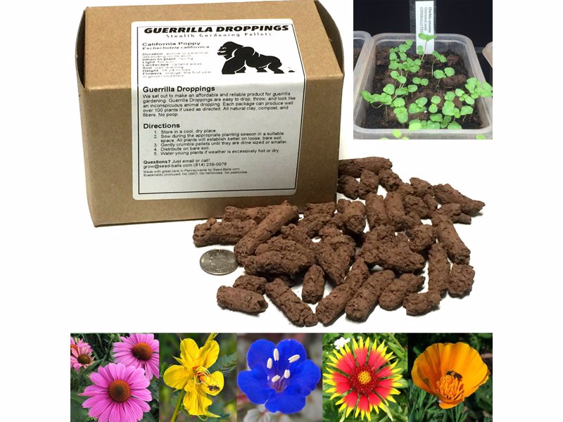 Guerrilla Droppings - Stealthy Pollinator-Friendly Wildflower Gardening Pellets