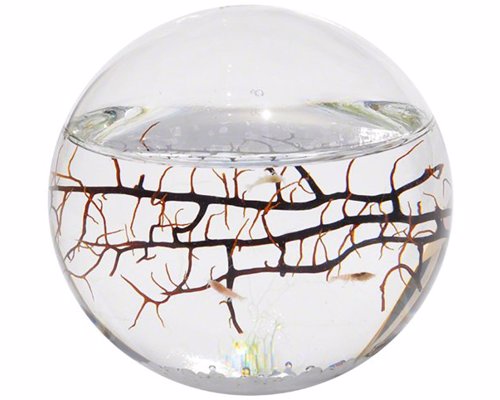 Self Contained EcoSphere