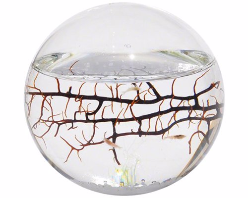 Self Contained EcoSphere - An entire self sustaining aquatic ecosystem in an enclosed sphere