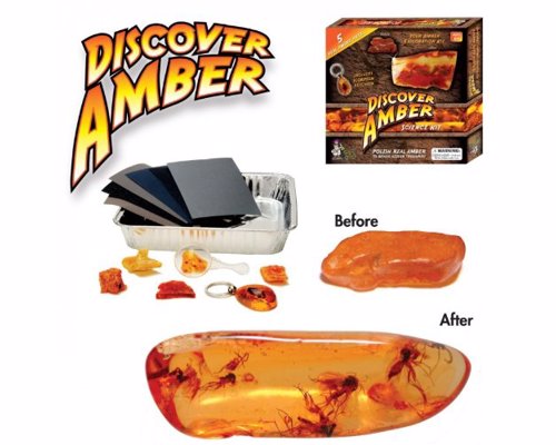 Discover Amber Science Kit - Just like in Jurassic Park, discover 40 million year old bugs trapped in a genuine piece of amber