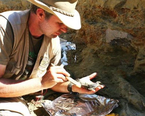 Dinosaur Dig Tours