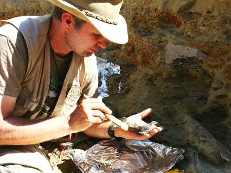 Dinosaur Dig Tours - Dig For dinosaurs in the Badlands of South Dakota!