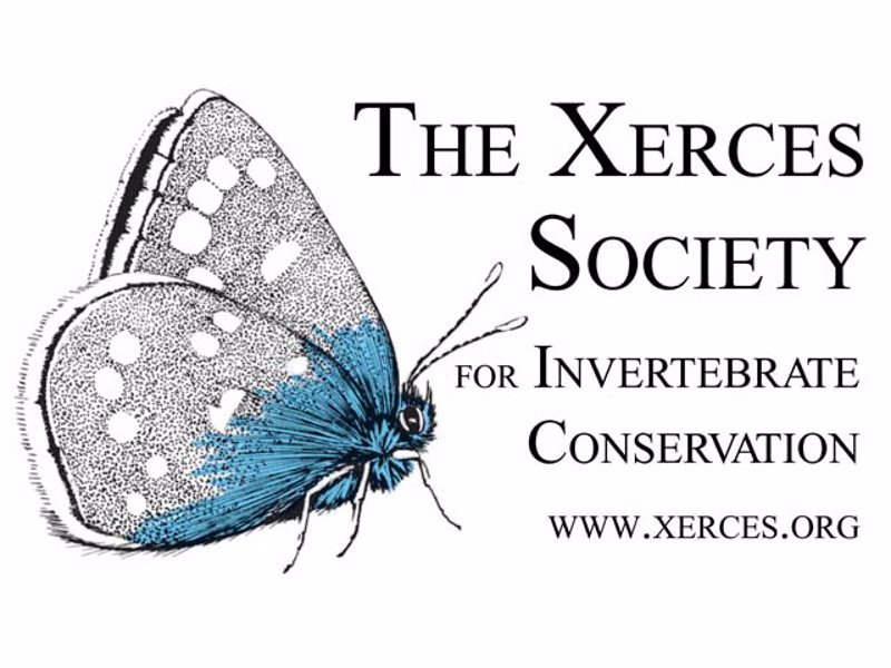 The Xerces Society Membership - Annual membership to The Xerces Society for Invertebrate Conservation